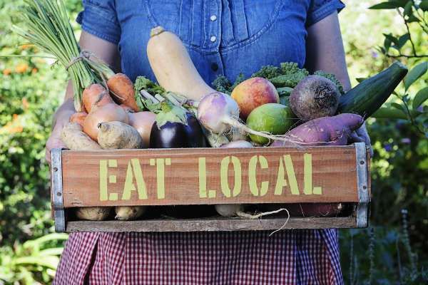 Sustainable Living Tips for Beginners