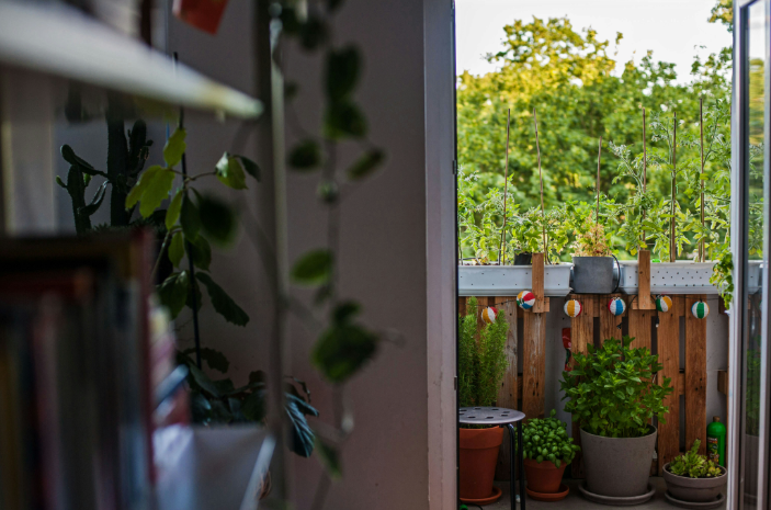 Container Gardening 101: How to Grow Veggies on a Tiny Balcony