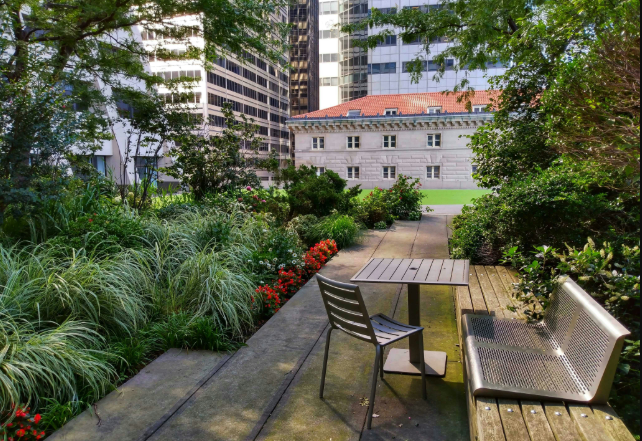 Urban Gardening Solutions for Small Spaces
