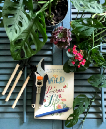 The Lazy Gardener’s Guide to Low-Maintenance Perennials
