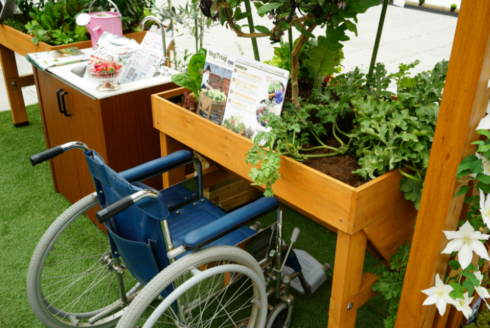 Raised Bed Gardening vs. In-Ground: Which One is Right for You?