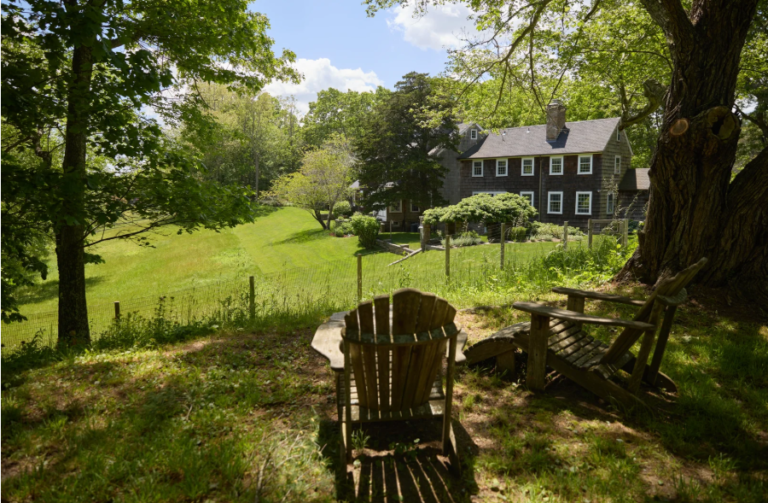 From Mess to Masterpiece: How to Efficiently Clean Up Any Yard