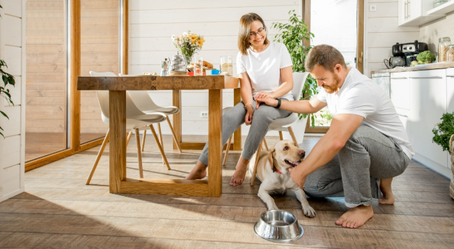Pet-Friendly Home Design Strategies