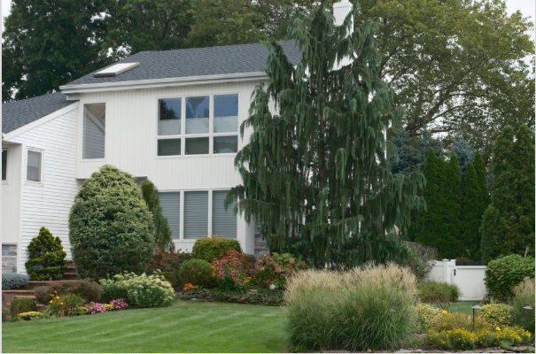 Septic Tank Repair in Indianapolis: 5 Warning Signs You Need Help Now