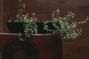 Why Routine Maintenance Matters for Efficiency, Safety, and Longevity
