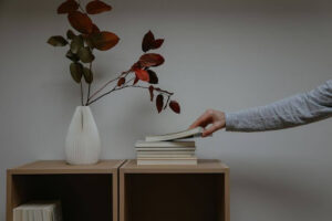 Budget-Friendly Compact Living Solutions and Modular Systems 
